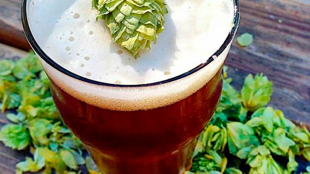 Гид по IPA: виды IPA и их особенности